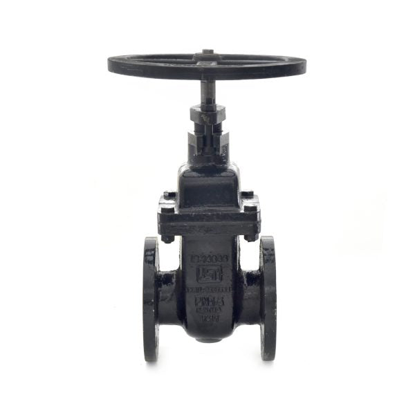 Sant Ci Gate Sluice Valve Flanged